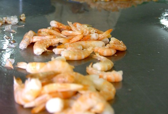 Todavía quedan 171 camaroneras sin legalizarse