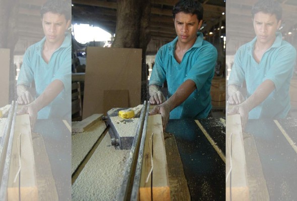 OIT debatira sobre empleo digno