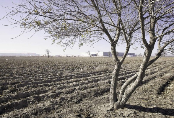 México se transforma en una gran potencia automotriz global