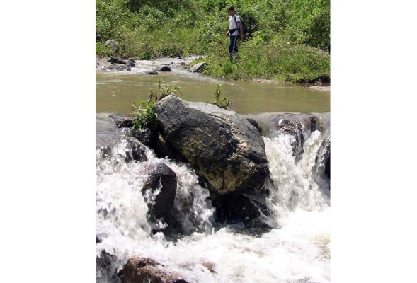 Cerro Cardona es declarado zona protegida; cuidan fuentes de agua