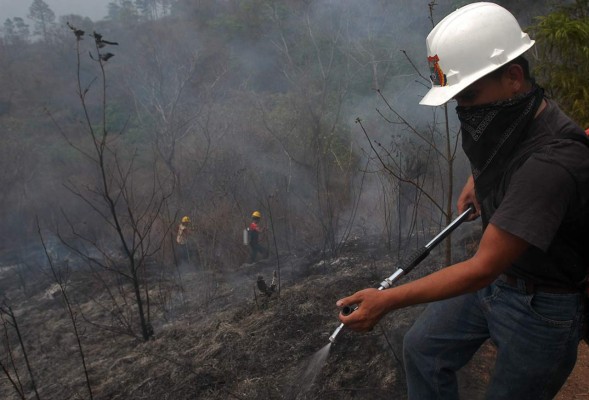 Incendios causan pérdidas por más de $10 millones en Honduras