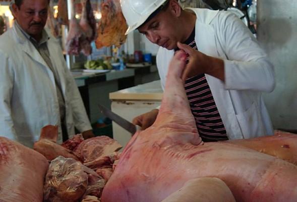Producción de cerdo reporta incremento de 10%
