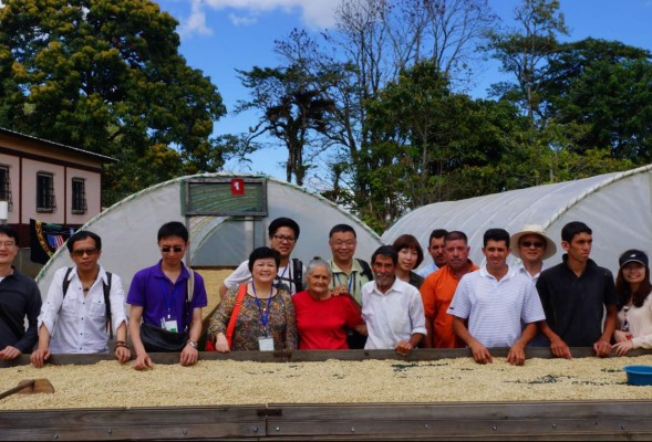 Empresarios taiwaneses buscan los mejores cafés producidos en Honduras