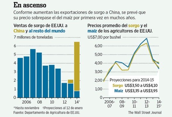 El sorgo gana brillo en el mercado de granos