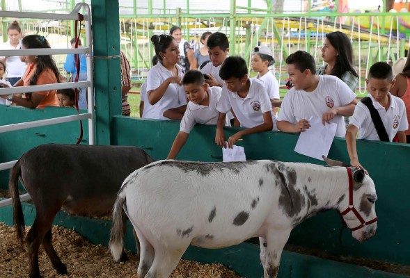 Sampedranos ya viven la feria en el Agas y Expocentro