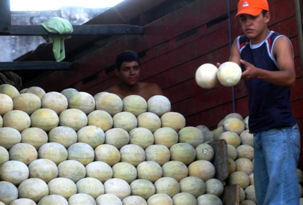 Misión estadounidense finaliza inspección en meloneras hondureñas