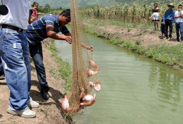 Balanza comercial sigue en déficit