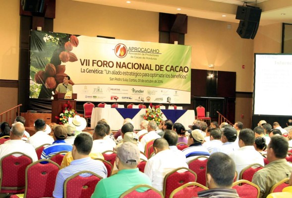 Gobierno destina L50 millones para incentivar producción del cacao