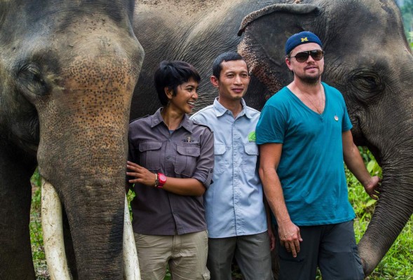 DiCaprio viaja a Indonesia para apoyar a defensores de la naturaleza