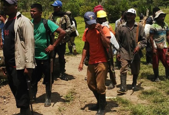 Tensión en La Mosquitia por invasión de tierras por nicaragüenses