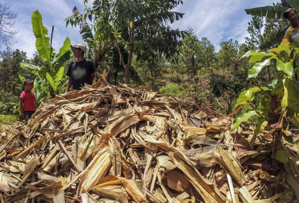 Alcaldías afectadas por intensa sequía recibirán dos meses de transferencias
