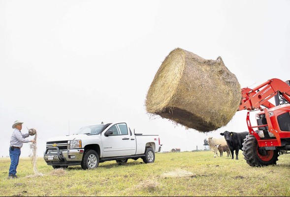 GM acude a 8.000 programadores para llegar directamente al cliente