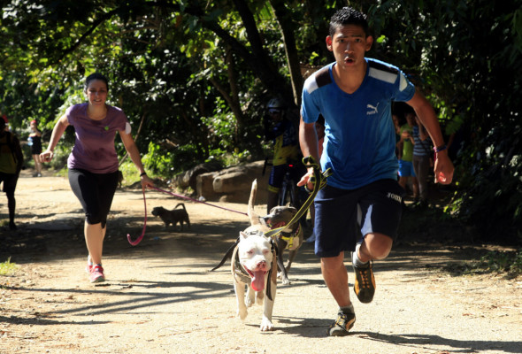 Pitbulls lo dieron todo en el segundo DogRun en San Pedro Sula