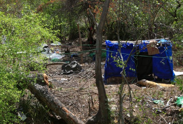 Instituto de la Propiedad registra 163 solicitudes de expropiaciones