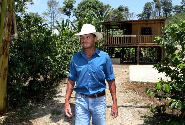 De cortador de café a caficultor de excelencia