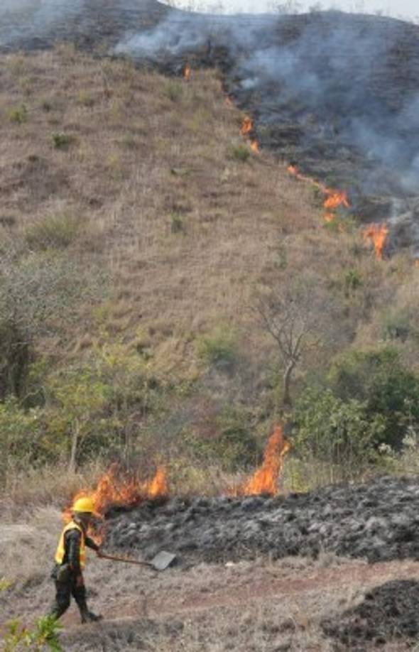 Las altas temperaturas ambientales dificultaban las labores de enfriamiento del Cuerpo de Bomberos.