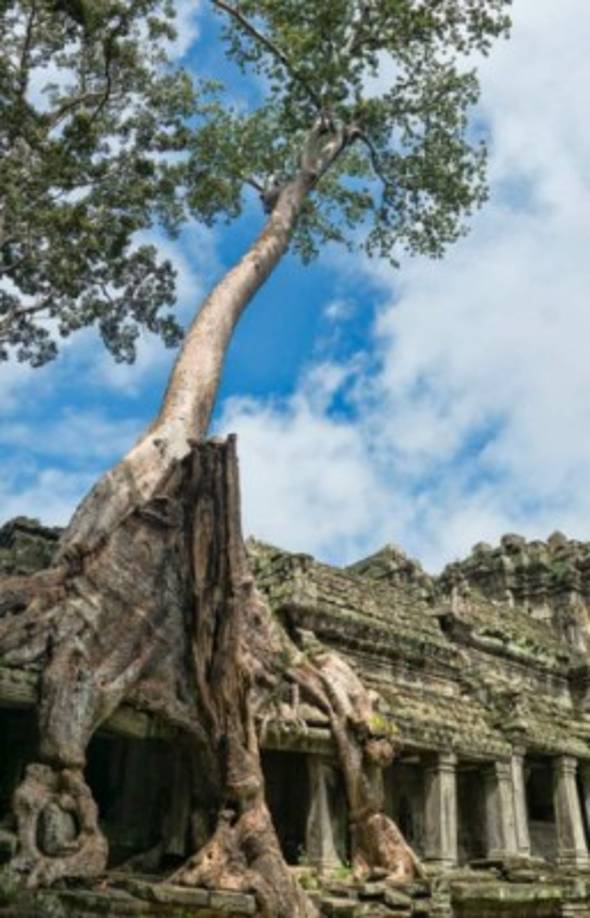 Sacados de un libro de historietas.
