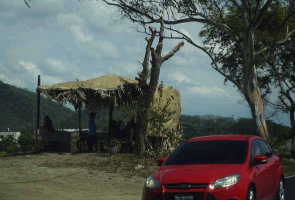 Nadie frena crimen ambiental en bordo del río Blanco