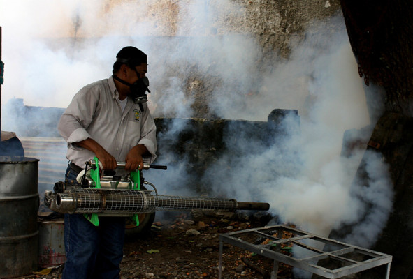 Autoridades comienzan acciones preventivas contra el dengue