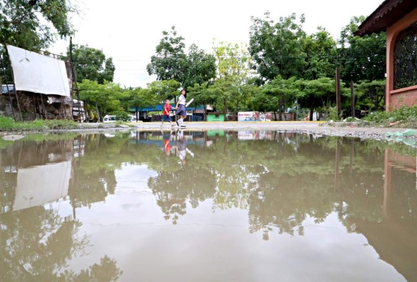 Casi un año hace que no reparan las calles de la colonia San Pedro