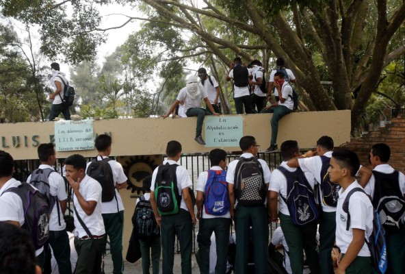 Con reforestar sustituyen alfabetización en zona sur