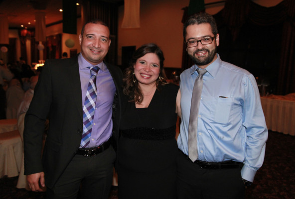 Cemesa despide el 2013