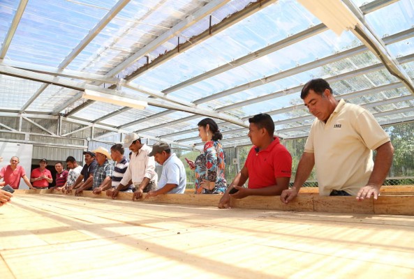 Productores se entusiasman con el Instituto Hondureño del Cacao