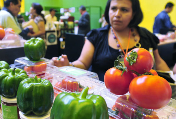 Diversificar oferta piden productores de vegetales en Honduras