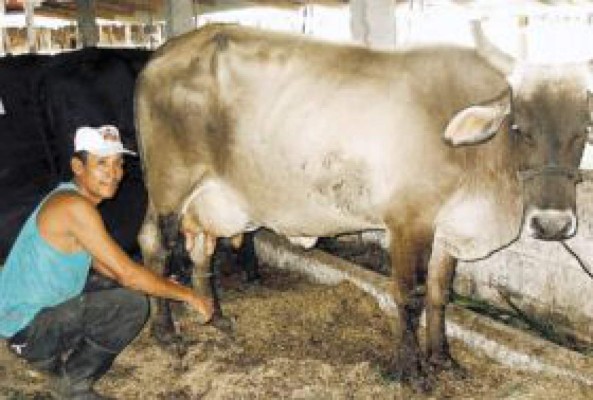 Se preparan para marcha Expo Agaa