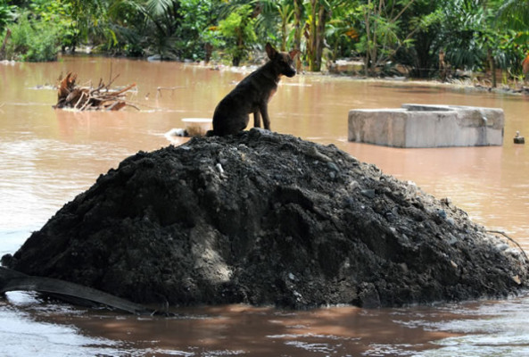 Honduras: El Progreso afectado por inundaciones
