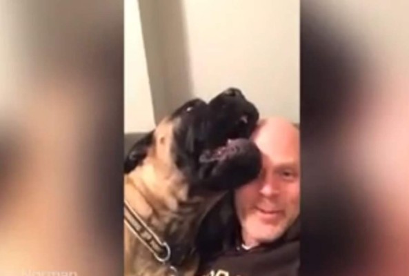 El perro que llora cuando escucha canciones de Navidad