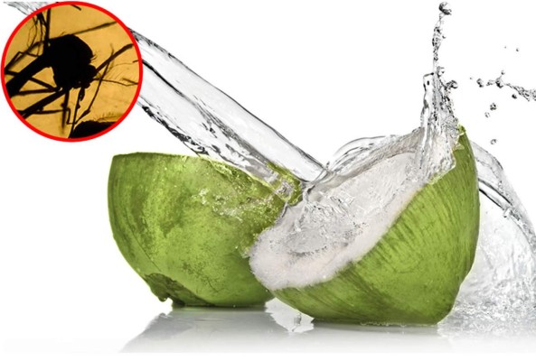 Estar bien hidratados permite sobrellevar el zika