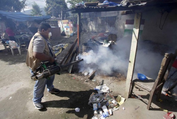 Logran efectuar 85 jornadas de fumigación