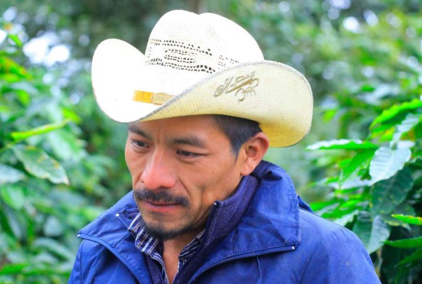 Cortadores de café imponen los precios en Copán