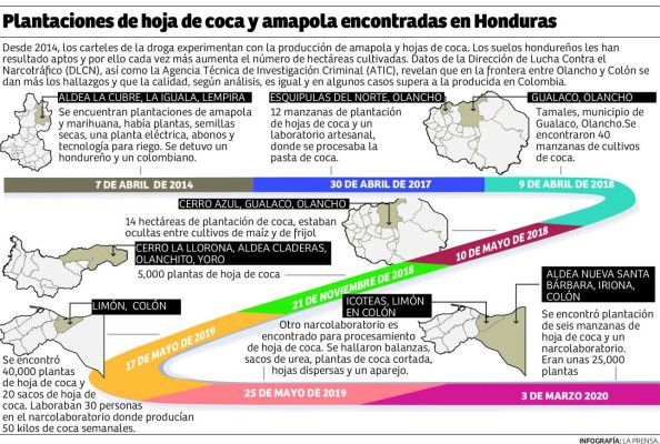 En Olancho y Colón es donde hay más plantaciones de coca