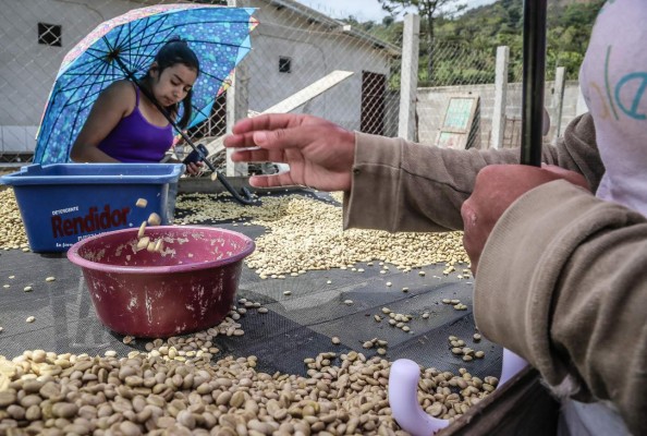 Un sueño cumplido a base de café