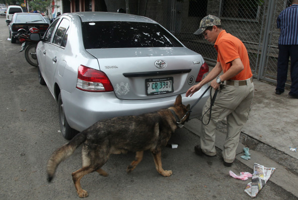 Alf, 'no es un perro drogo, trabaja por un premio”