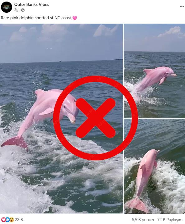 Foto compartida por la página de Facebook.