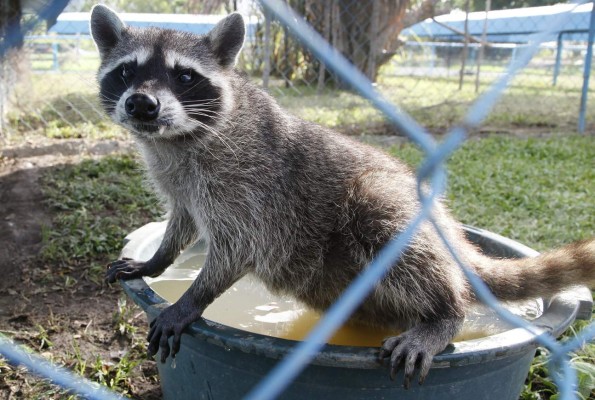 Trujillo y sus ocho maravillas en el Caribe de Honduras