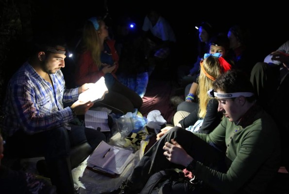 Ranas endémicas a punto de desaparecer en el Parque Nacional El Cusuco