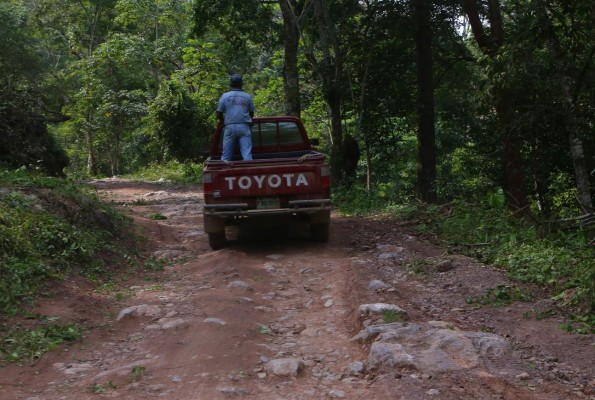 Corte de café comienza a dinamizar la economía