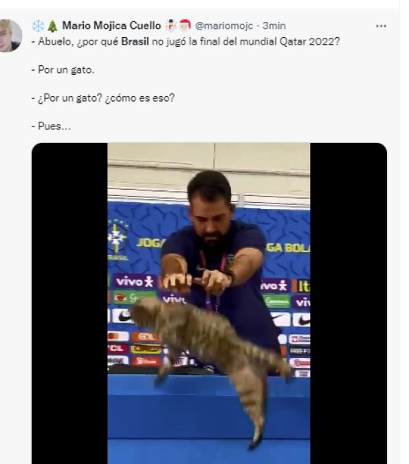 Los memes destrozan a Brasil tras eliminación: “La maldición del gato”