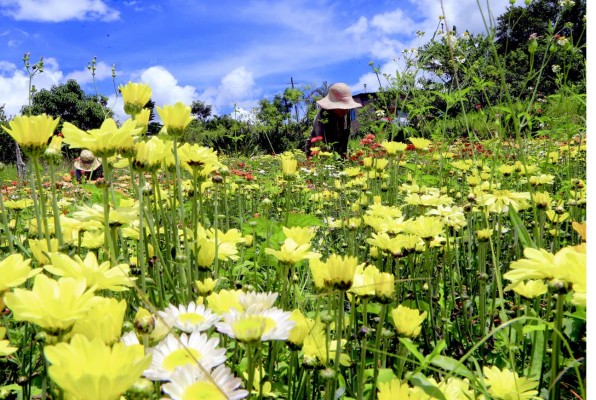 La otra cara multicolor de Siguatepeque