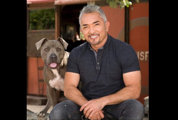 Redes sociales matan al 'encantador de perros'