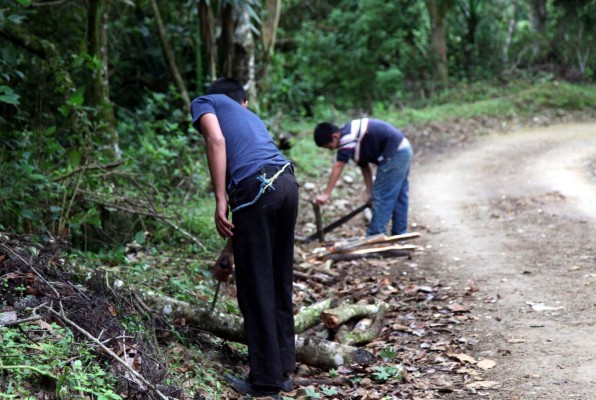 Aventura entre montañas, así es la comunidad de El Rosario