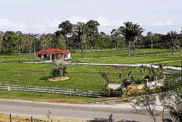 Hondureños residentes en EUA cumplirán sus sueños