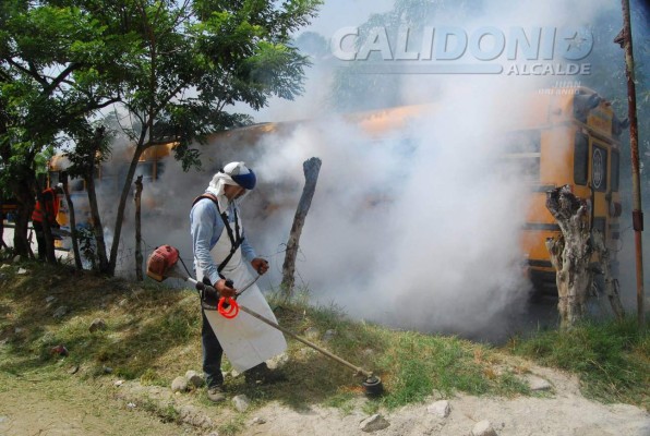Repelen el zancudo en todo el sector Armenta