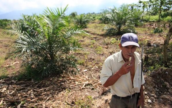 Vía decreto PCM buscan aprobar fondos para la Comisión Agraria