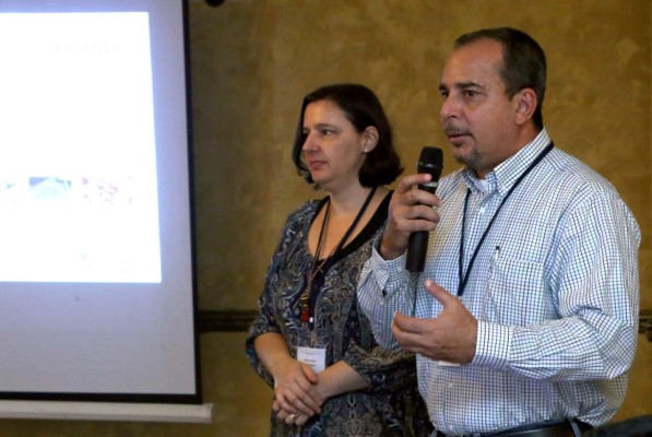 Inversionistas interesados en mango, papaya y aguacate