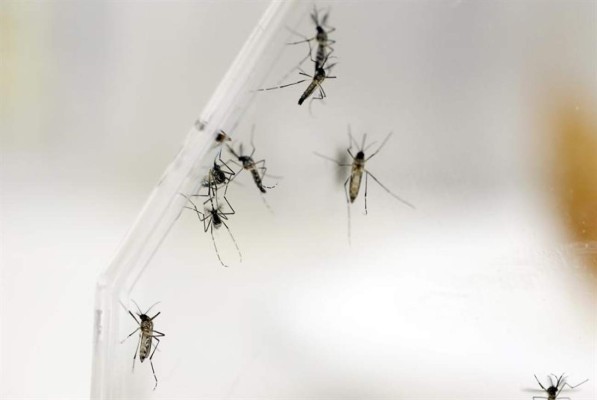 El virus del Zika se propaga por América Latina